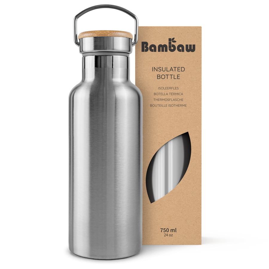 Insulated Water Bottle