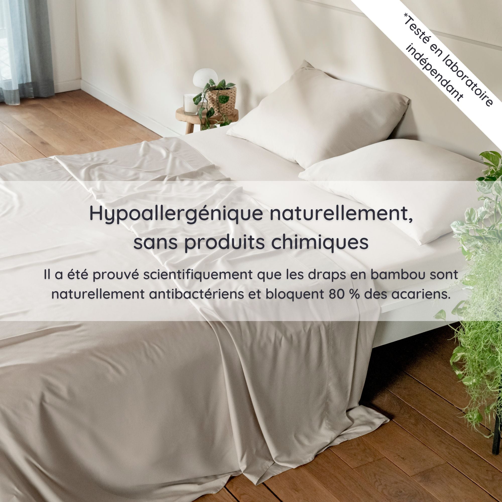 Bed with beige bamboo bedding and pillows in a room with wooden flooring and a plant.