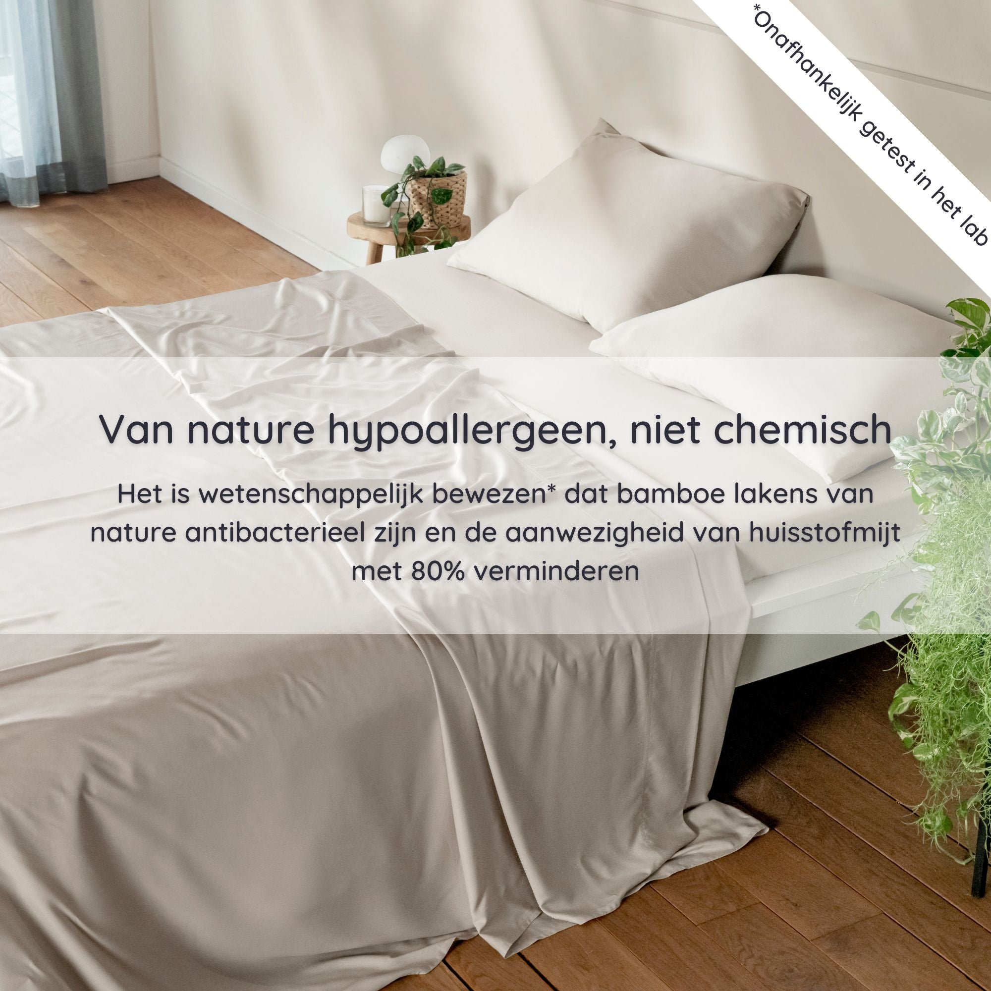 Bed with white bamboo bedding in a room with wooden flooring and a plant.