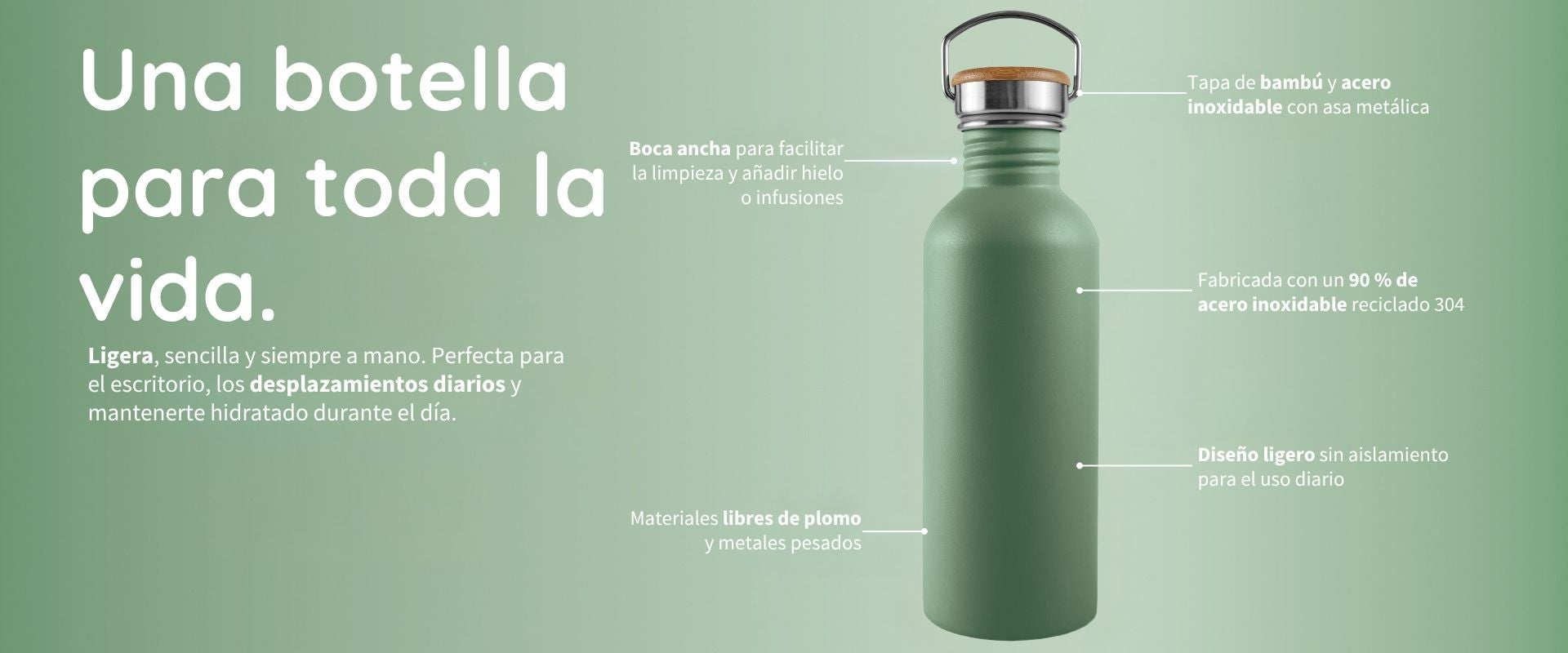 Botella de agua de acero inoxidable verde de Bambaw con características destacadas sobre un fondo verde