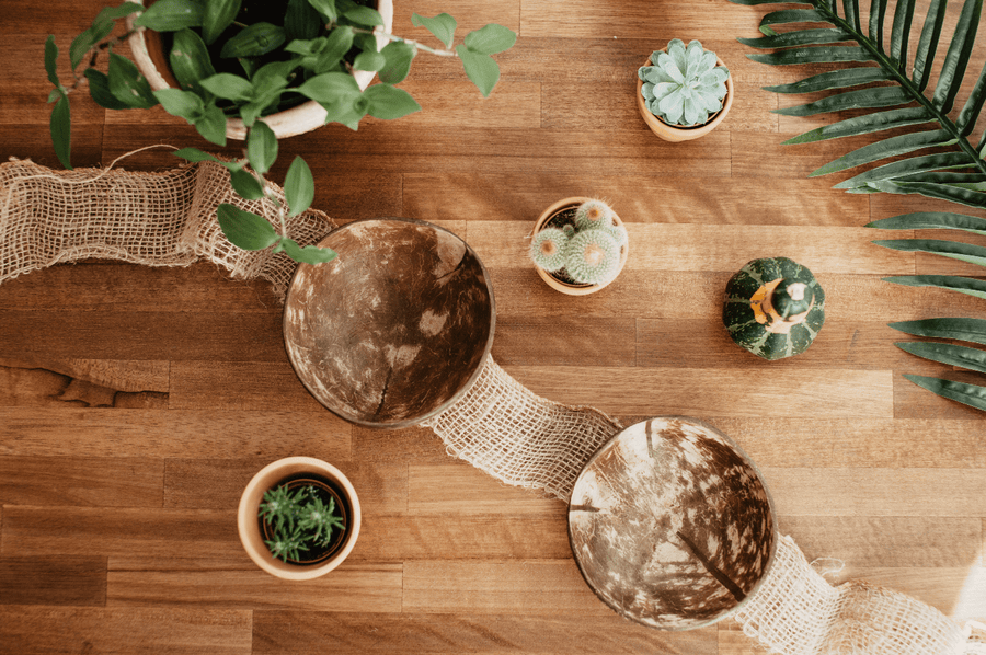 Coconut Bowls Set